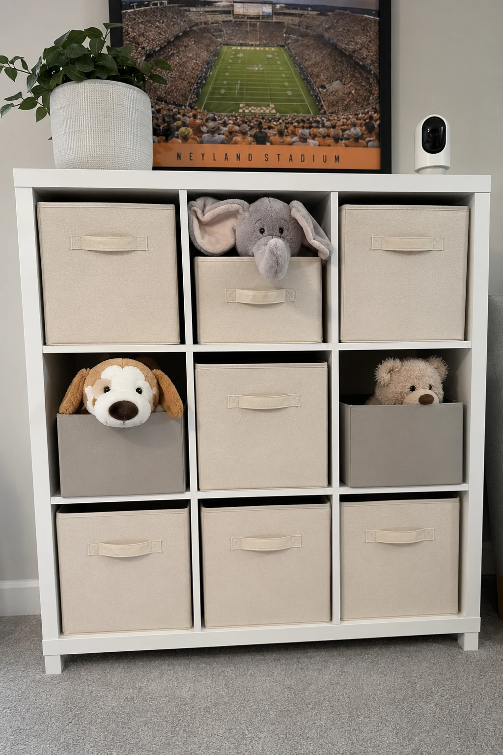 Canvas Storage Cubes in Cubby Units