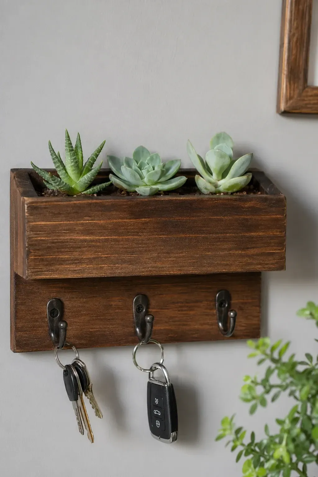 succulent planter key rack in a entryway
