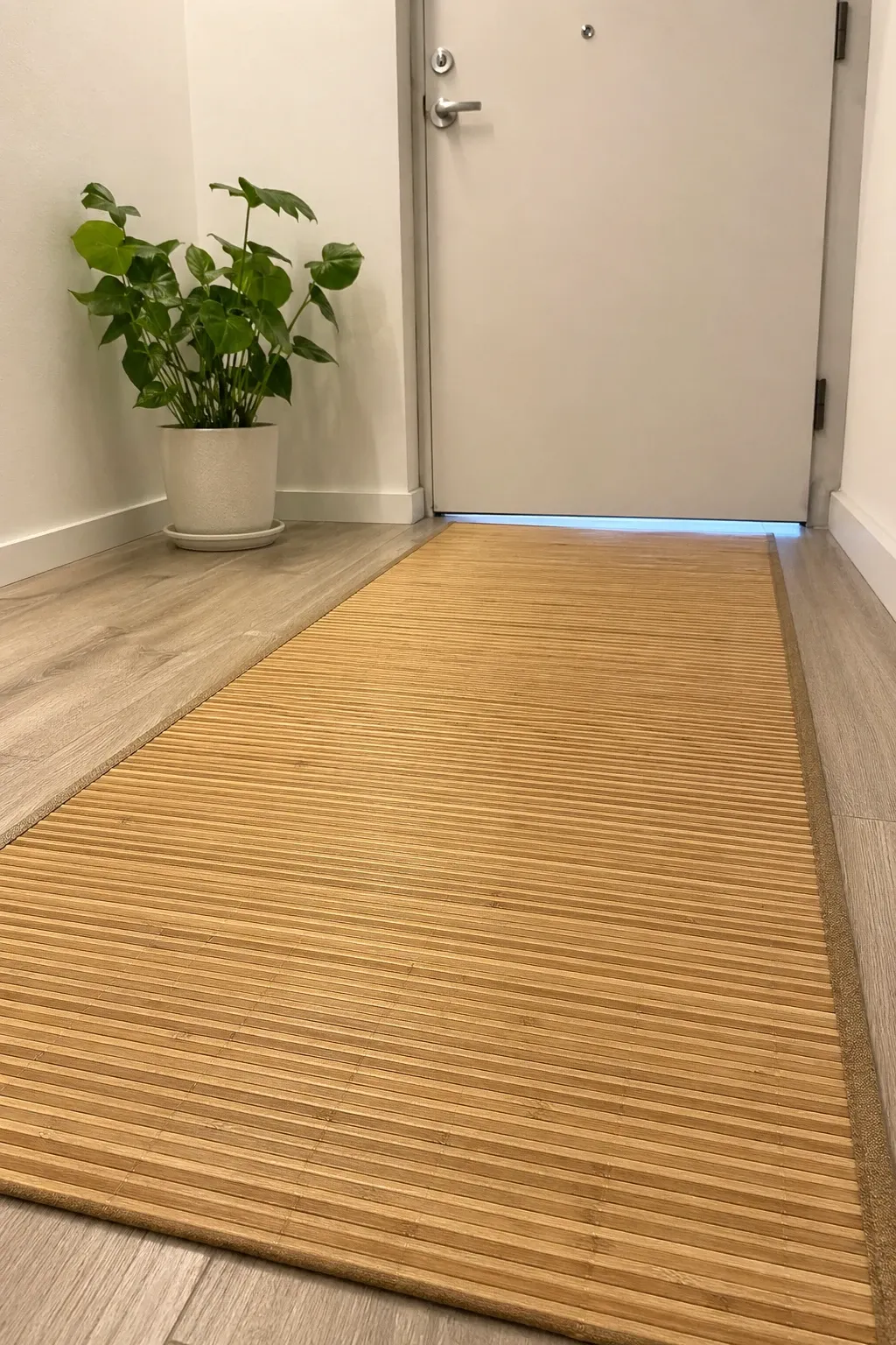 bamboo slat in a entryway