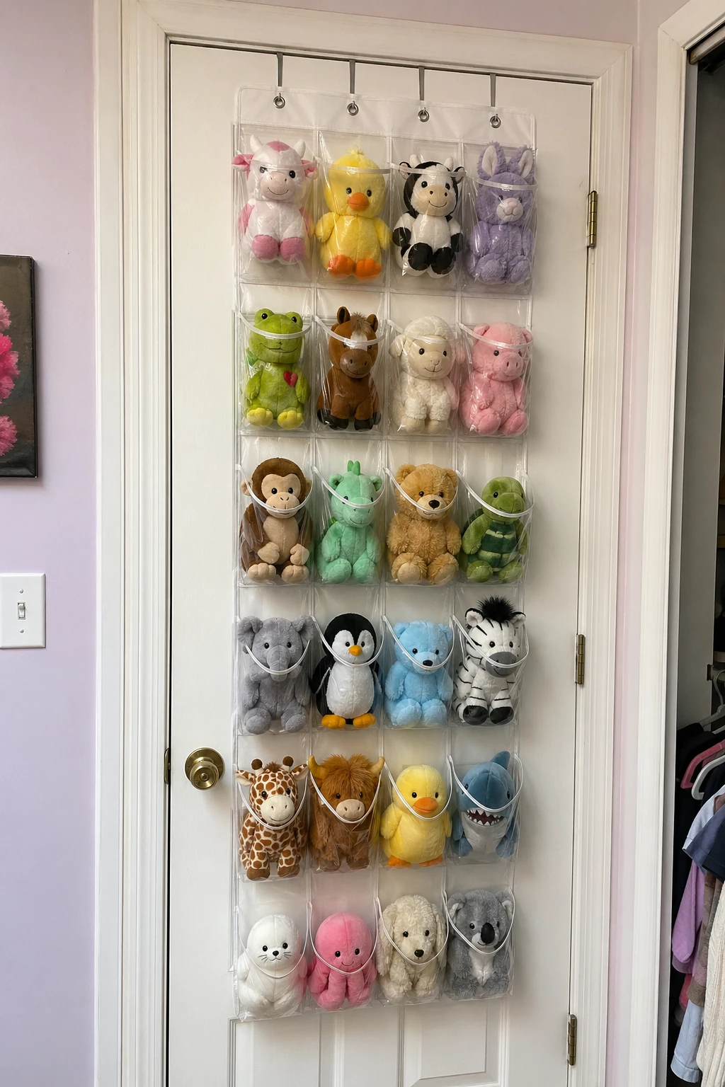 Over-the-Door Clear Organizers