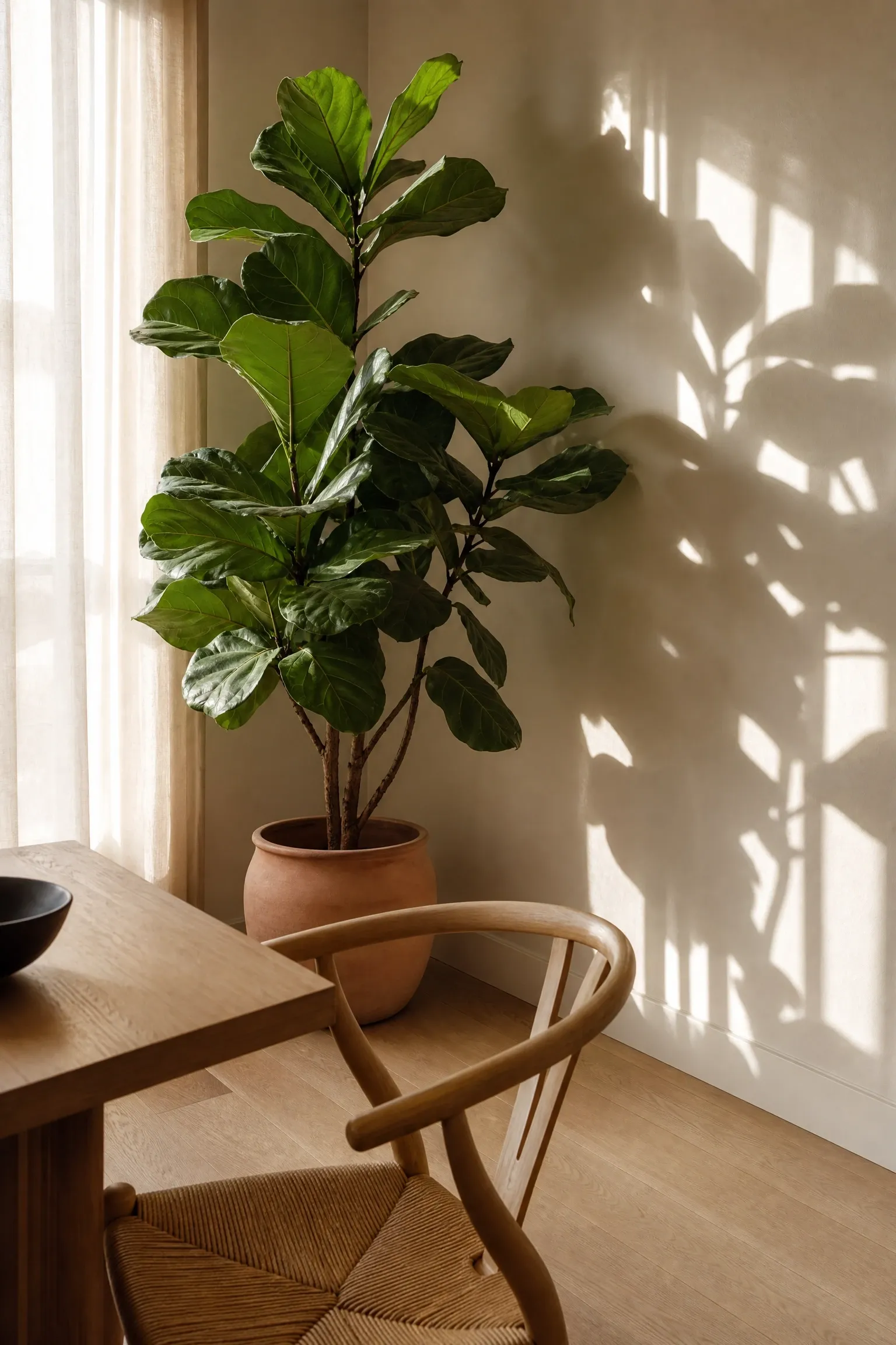 indoor plants that belong in the space in a dining room