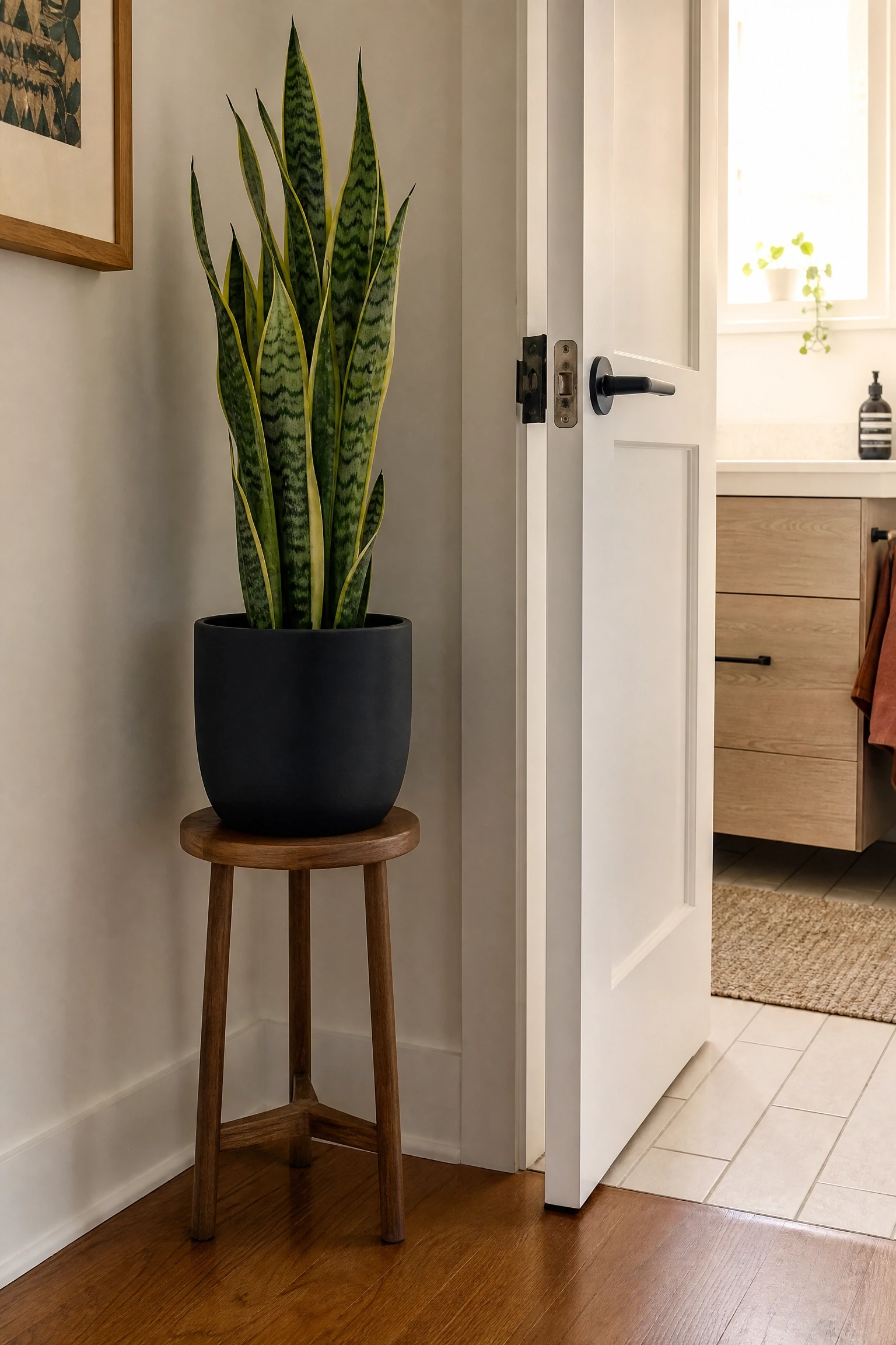 a corner plant shelf beside the door in a bathroom