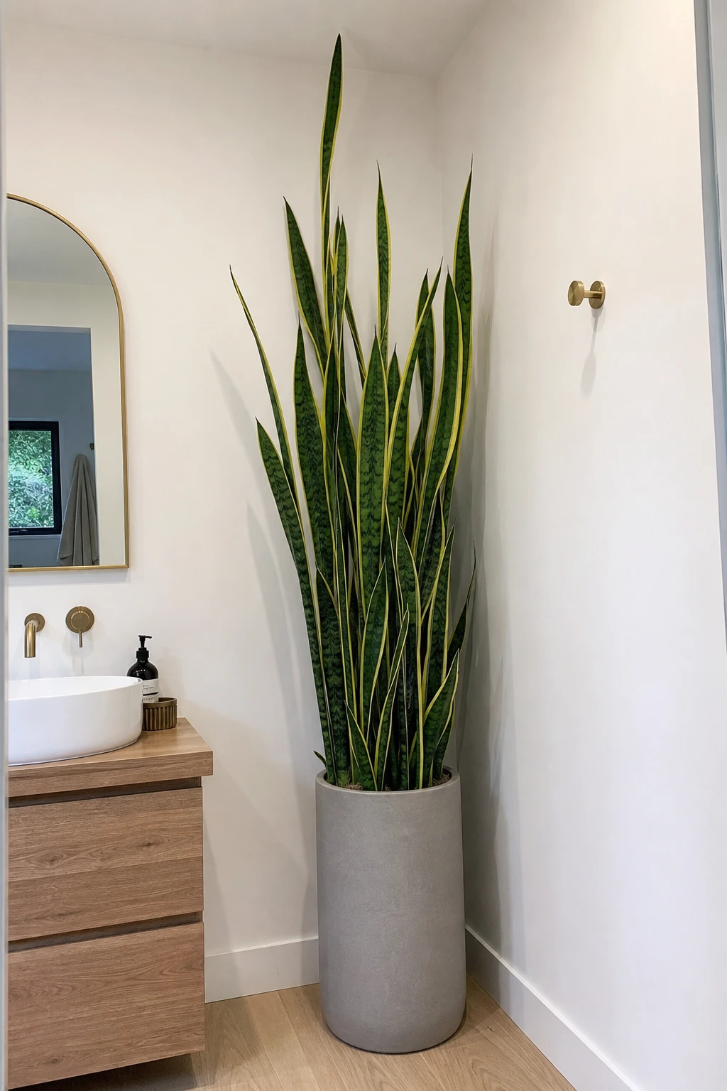 a tall snake plant or architectural plant in the corner in a bathroom