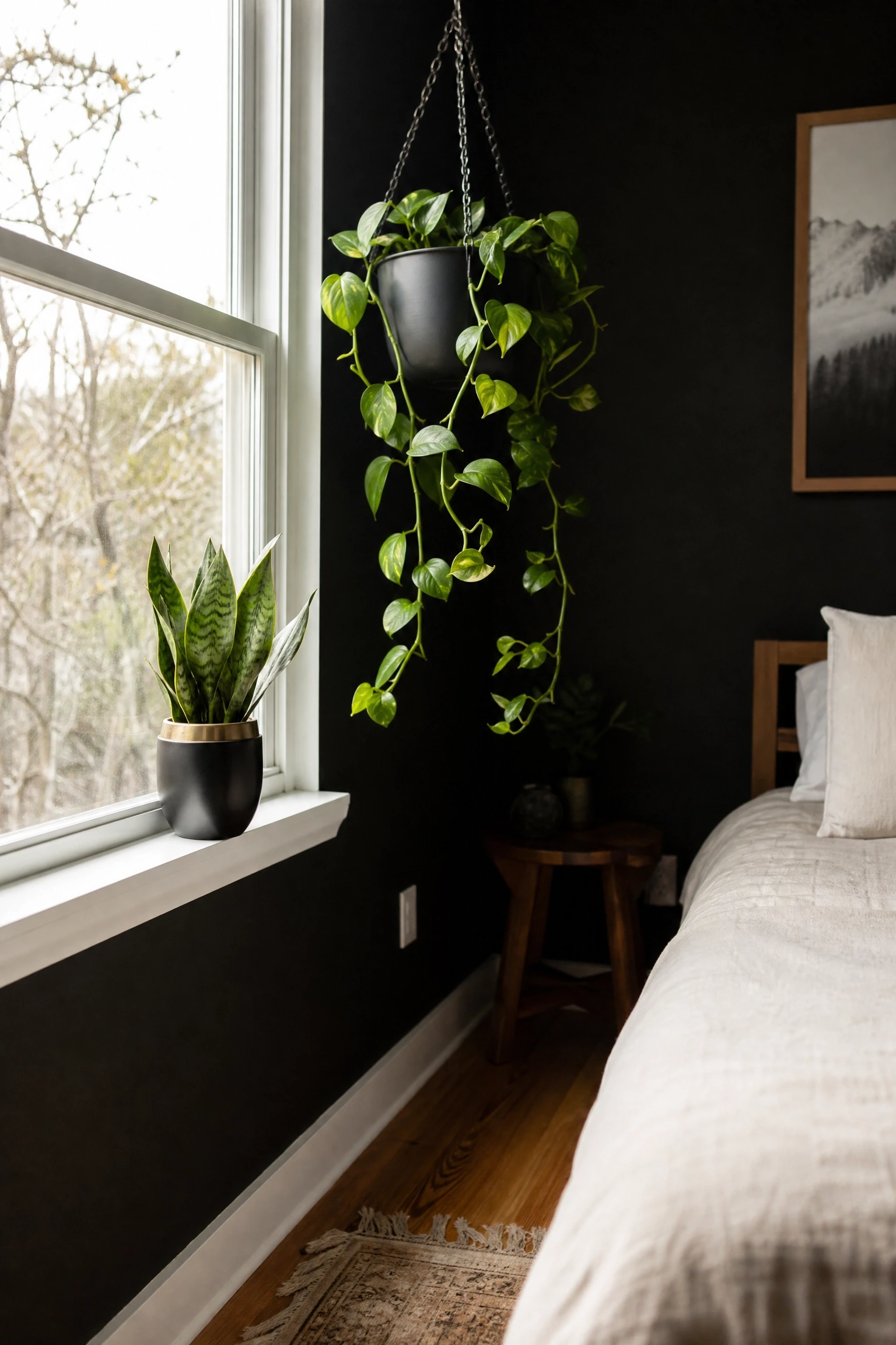 the plants you love do not look right in the room: use black or terracotta pots with gold detail in a bedroom