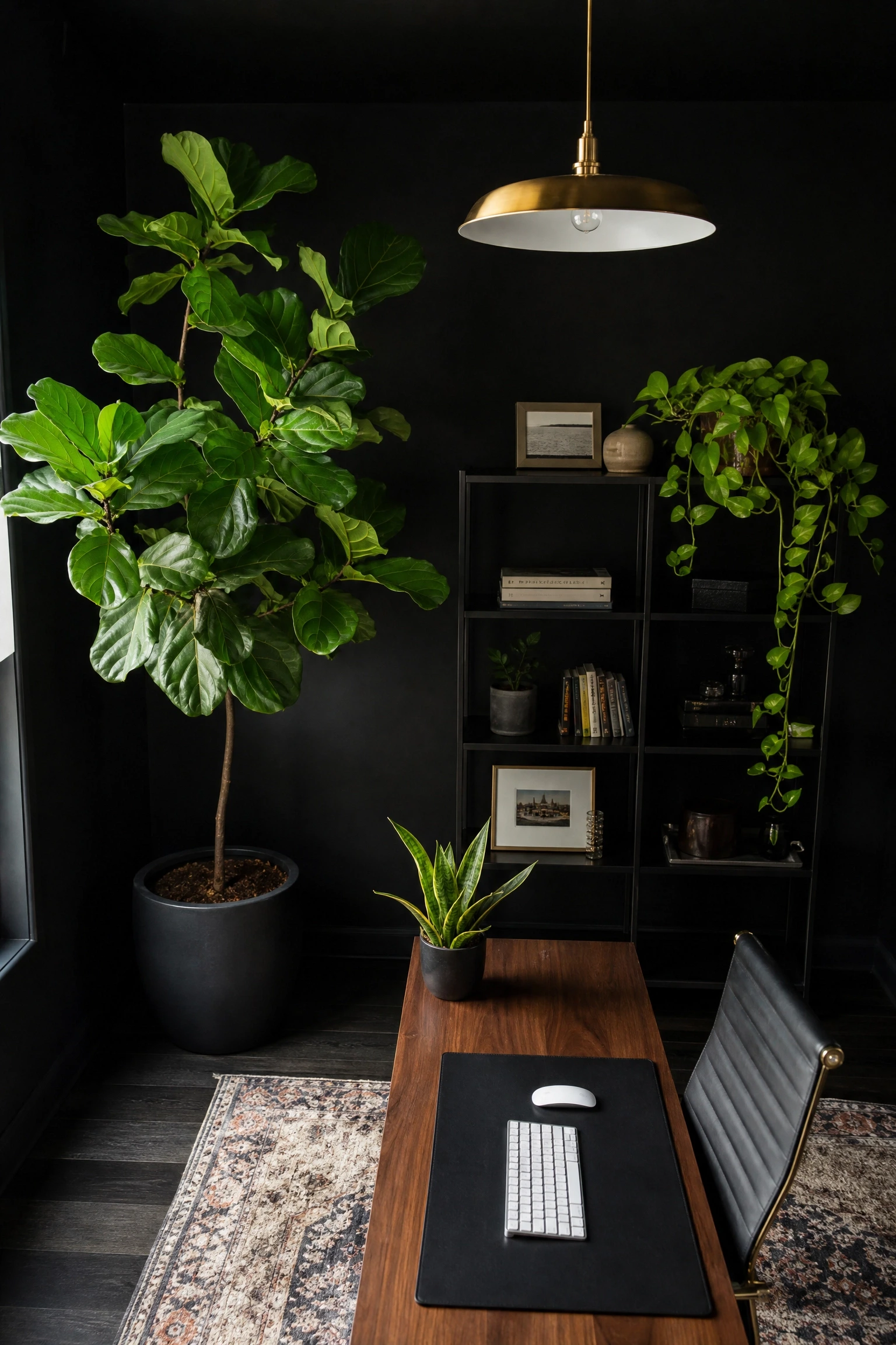 black home office with indoor plants