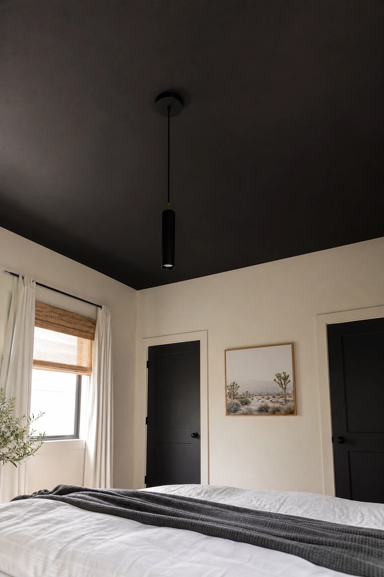 black ceiling for a dramatic canopy effect in a bedroom
