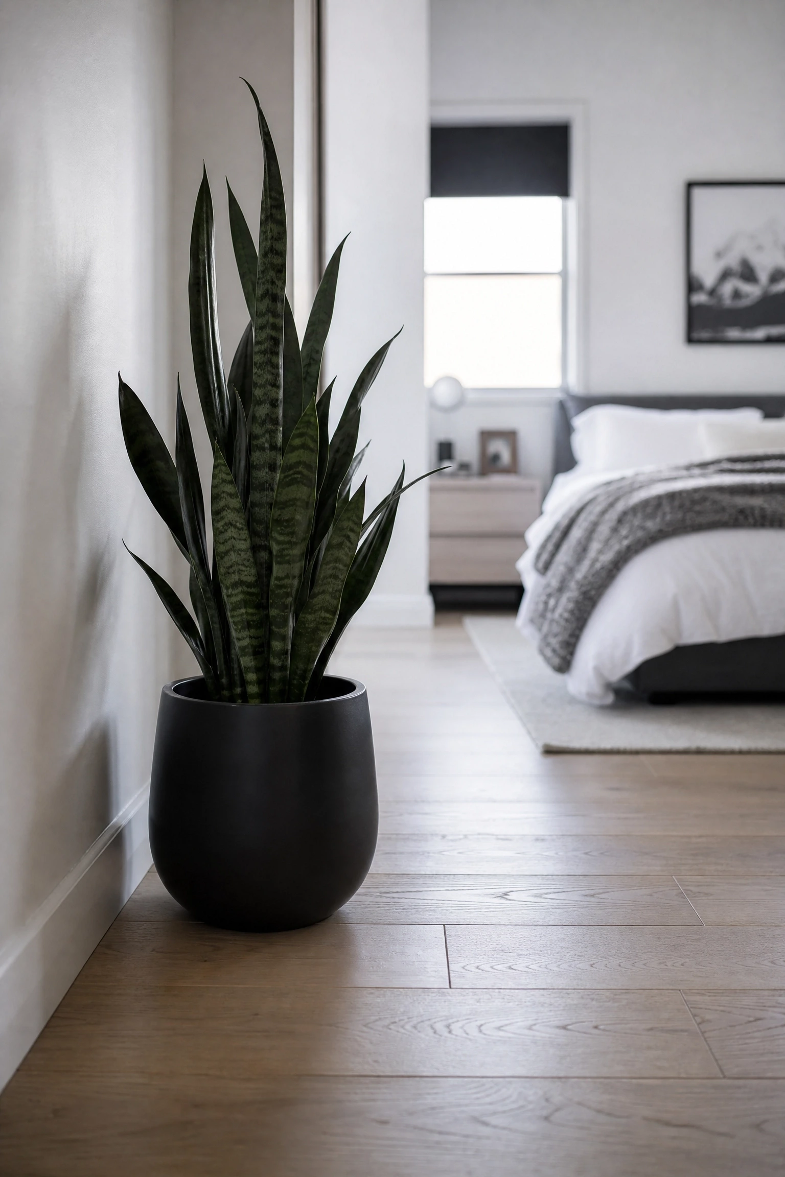 bring in plants to add the one thing monochrome cannot provide in a bedroom